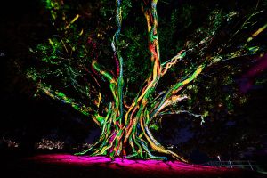 RC_20160523_293-4096